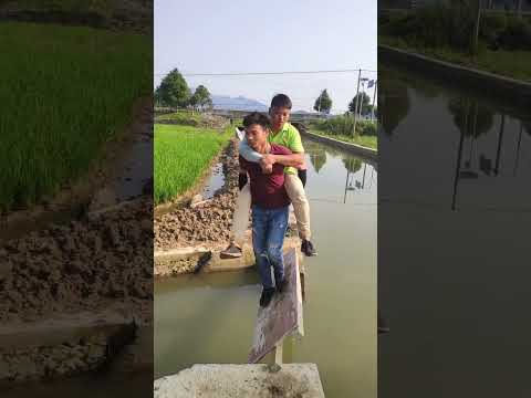 🥵From Pigs to Pixels: Hilarious Tales of Rural Life! #RuralStory #RuralLifePictures  #funnyshorts
