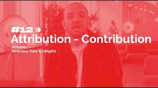 #DATABASICS n°12 avec Antoine : Attribution - Contribution