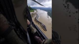 Most Dangerous Animals In Amazon Rainforest #sciencefacts #facts #science #shorts
