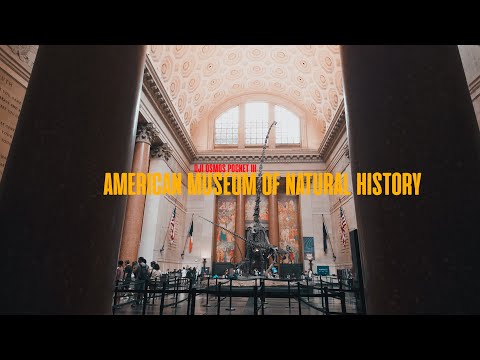 DJI Osmo Pocket 3 - American Museum of Natural History - Cinematic Video