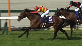 【現地】2025 G1 大阪杯 ベラジオオペラ 横山 和生 連覇でレコードタイム【生ファンファーレ 阪神競馬場】