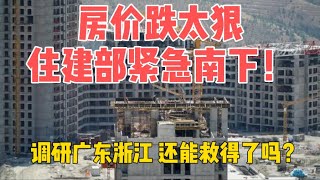 房价狂跌引发系统性恐慌！住建部急派调研组南下广东浙江救火，一线城市楼市跌回5年前，成交量腰斩、断供潮蔓延，全国房地产全面失控！中央出手真能救市吗？中国楼市走到悬崖边！