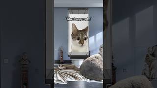 CAT MEMES 😺 Your Superpower Went Wrong... #catmemes #relatable When you have superpower..