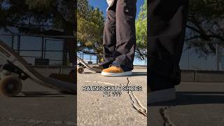 Rating Skate Shoes Pt. ??? (NIKE SB Dunk Low Pro)