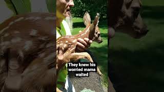 Mama deer is so happy to see her baby she can’t contain herself 🥲