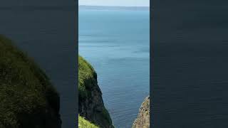 【日本北海道・道東】釧路浜中町・霧多布岬 野生海獺實際拍攝體驗活動 Sea otter ラッコ