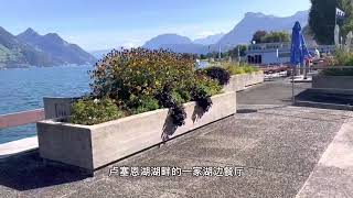 瑞士卢塞恩湖畔餐厅。瑞士物价真不便宜，3人消费1500元。马苏里拉奶酪配有机蔬菜味道超赞。主菜菲力牛排配意大利式风味烤茄子。甜品瑞士咖啡冰激凌超级甜蜜。在湖畔直播简直太治愈了。