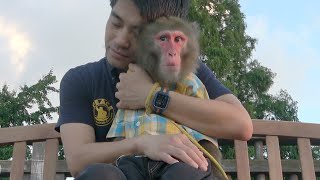 友達なんていらない。お猿さんがいれば。