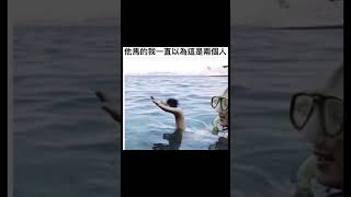 公仔【梗圖 迷因 】 memes