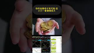 現金流量與被動收入的重要性 學校沒教的財務課程 7