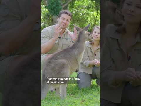 Kangaroo Comparison with Bindi & Chandler