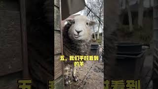 盘点小时候可爱，长大后凶残的动物   #宠物 #科学养宠攻略 #萌宠百科