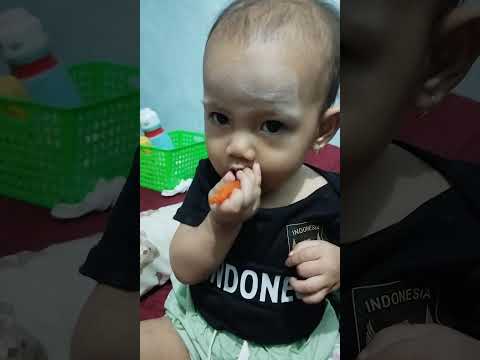 MAZAYA MAKAN WORTEL