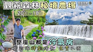 宛如仙境的山中秘境農場【雪霸休閒農場｜免費足湯不限時泡！】野馬瞰山步道｜大鹿林道｜新竹五峰｜露營車泊｜camping｜Vanlife《憂娘駕駛Outdoor》