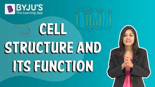 Cell Structure and its Function