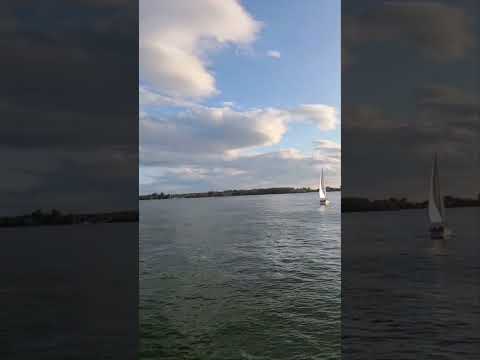 Toronto Waterfront Night view | Scenic views of CN tower #waterfront #cntowerview #torontoviews