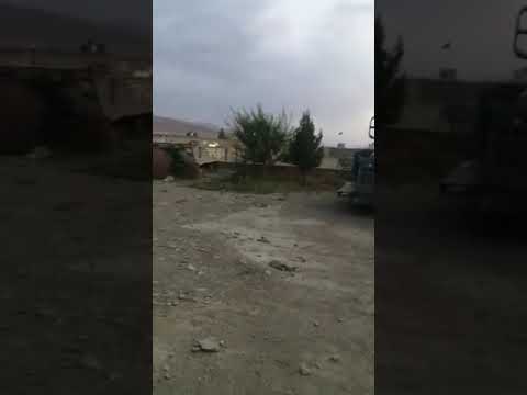 "The Shoe Thief: Watch This Funny Dog in Action"