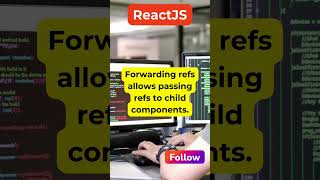 ref react forward