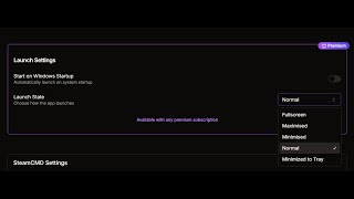 Launch Settings Feature - HaruHost Game Server Manager