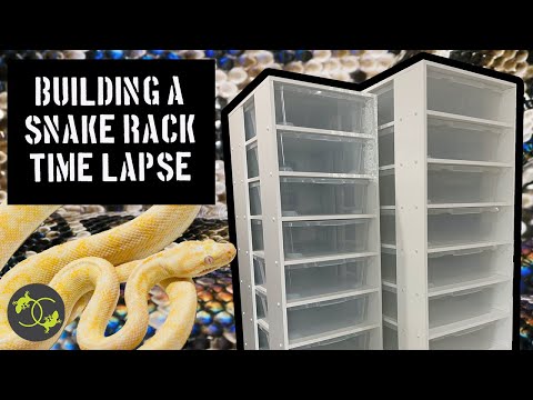 DIY Snake Rack - Building a Snake/Gecko/Skink Rack in Time lapse - Cookies Critters