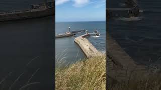 Summer is back at Whitby