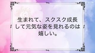 膠芽腫・希少がん　vol.6「検査入院までの日々②」〜31歳で旅立った娘の16日間の記録#脳腫瘍#グリオーマ