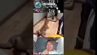 takot sa buntot #cutedog #funny 🤣🤣😝😝😝😝🤣🤣😝🤣🤣