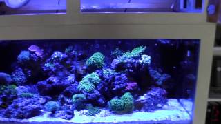 Ecotech Radion Gen2, fixture update