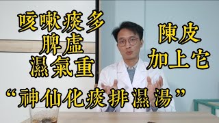 咳嗽痰多、脾虛濕氣重？醫生：陳皮加上它，堪稱『神仙化痰排濕湯』，把肺里的痰、全身的濕氣都排光