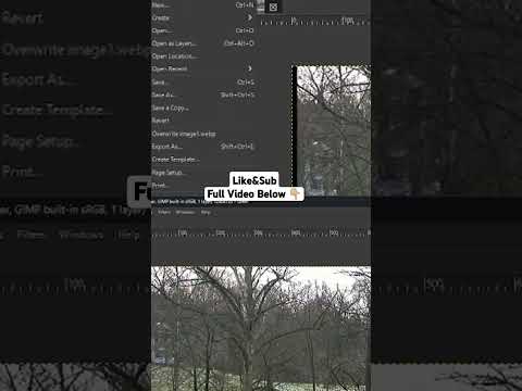 Turn Webp to PNG using GIMP! #convertimages #gimpguide #imageconversion #gimptutorial #gimp