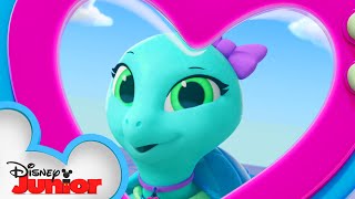 Sandy The Sea Turtle | Calling All T.O.T.S. | T.O.T.S. | @disneyjr