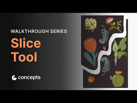Walkthrough Series: Slice Tool