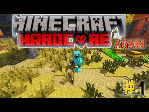 Let's play Hardcore Again ll #1