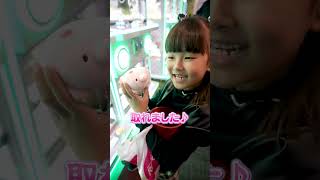 クレーンゲーム同時プレイチャレンジ！！ #クレーンゲーム #UFOキャッチャー #小学1年生