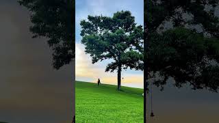 死ぬまでに行きたい絶景スポット3選【栃木県編】#栃木県 #栃木 #絶景 #絶景スポット #観光 #旅行 #国内旅行 #観光スポット