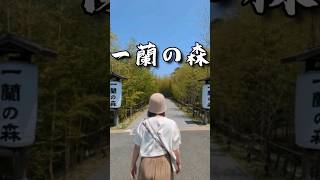 福岡旅遊-終於來海邊走走囉~我是魚，你是我的花園鰻^^#櫻井二見ヶ浦#夫婦岩#糸島茶房 #一蘭の森 #一蘭拉麵 #福岡 #海邊 #糸島 #系島