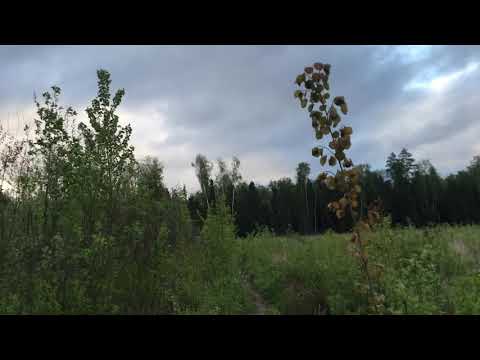 Ленивый спортсмен. Занятие 1. Села батарейка.
