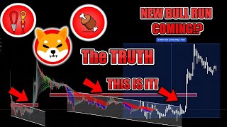 THE TRUTH ABOUT THE SHIBA INU BULL RUN!? WILL SHIBA INU PUMP WITH THE DOGECOIN ALT SEASON RALLY!?