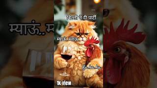"Mimi the Cat and Coco the Chicken" #cat #funny #pets #cute