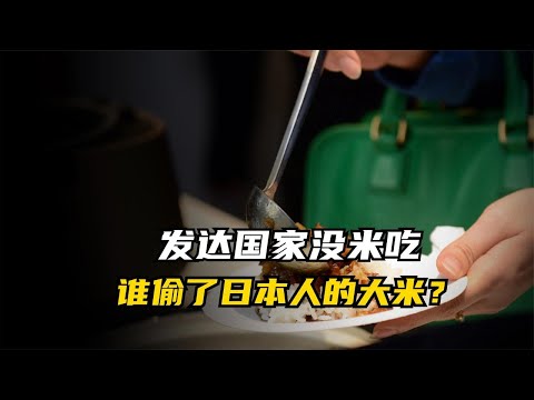 日本出现“大米荒”，是天灾还是人祸？