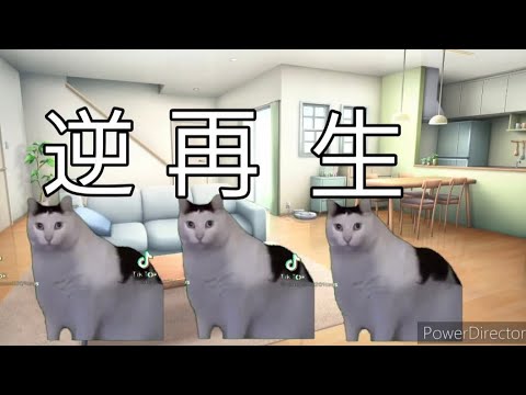逆再生にしました