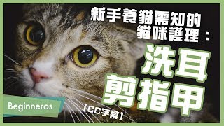 【寵物教學】新手養貓需知的貓咪護理：洗耳、剪指甲｜Beginneros