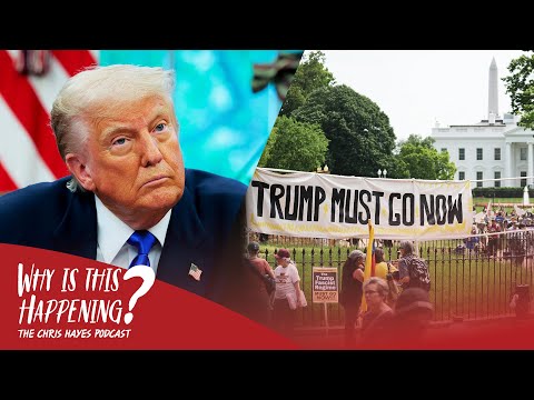 'We have everything we need': Harvard political scientist on resisting Trump 2.0
