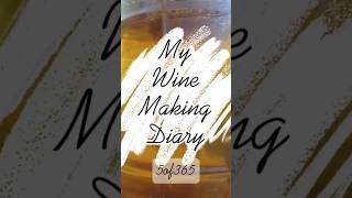 The Origins             #caribbeanwine #organicwine #fruitwine