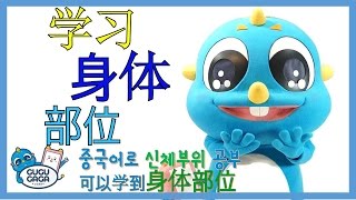 [Learning Chinese] 구구가가 신체 부위 배우기 学习身体部位 - GUGUGAGA 呱呱嘎嘎