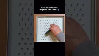 😱Have you ever seen magnetic field lines?   || magnetic poles #magnet #physics