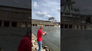 Fish On! #shorts #trending #viral #fishing #kentucky #catfish #skipjack #