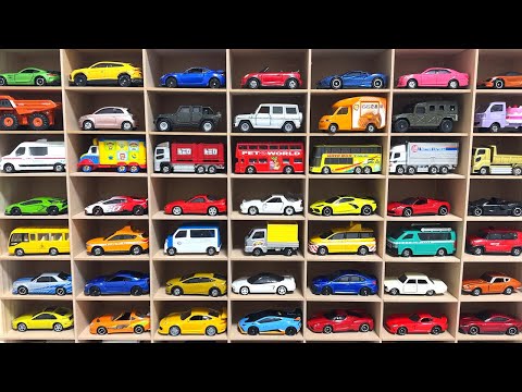 Search for and store 60 Tomica cars on the beach!