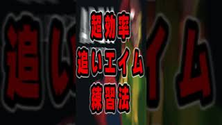 【APEX】追いエイム練習方【超効率】