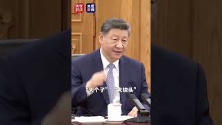 习近平：中欧都是国际社会中的“大个子”，要牢牢把握中欧关系发展的正确方向。（视频来源：央视新闻）